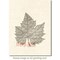 Deep Red Stamps Autumn Leaf Rubber Cling Stamp 3.25 x 3.25 inches
